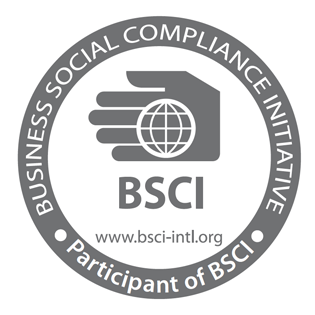 BSCI Audit Report